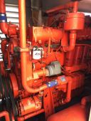 Waukesha F18GL - 250KW Natural Gas Generator Set
