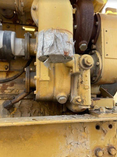Caterpillar